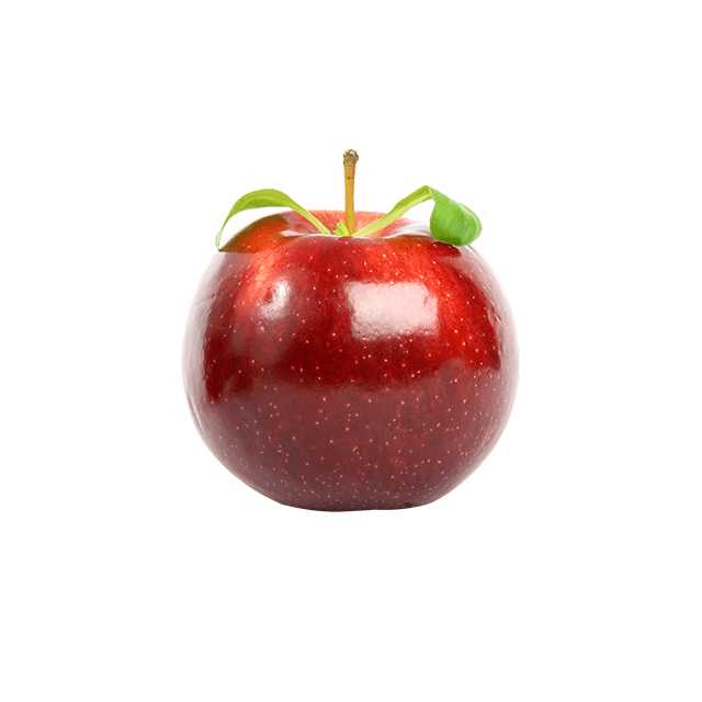 Branch Apple - Imagem 2