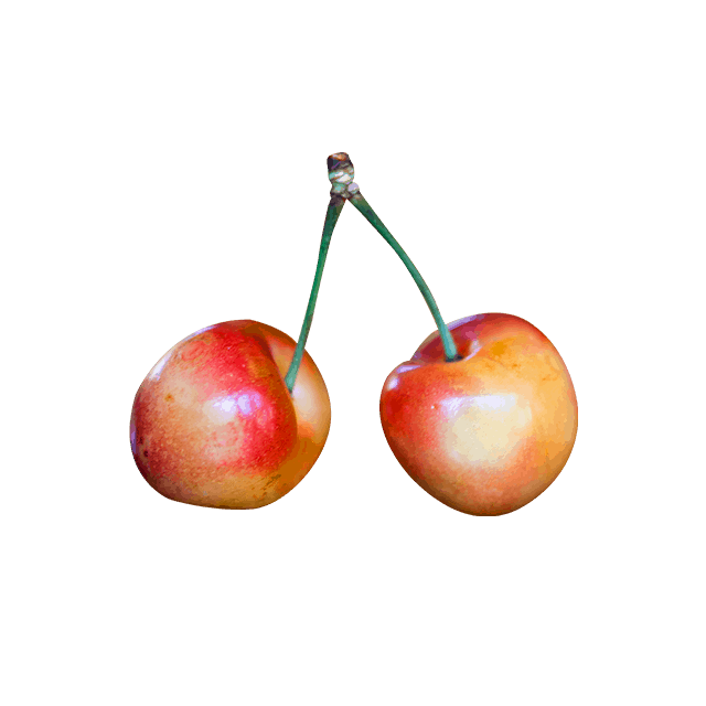 Branch Apple - Imagem 4